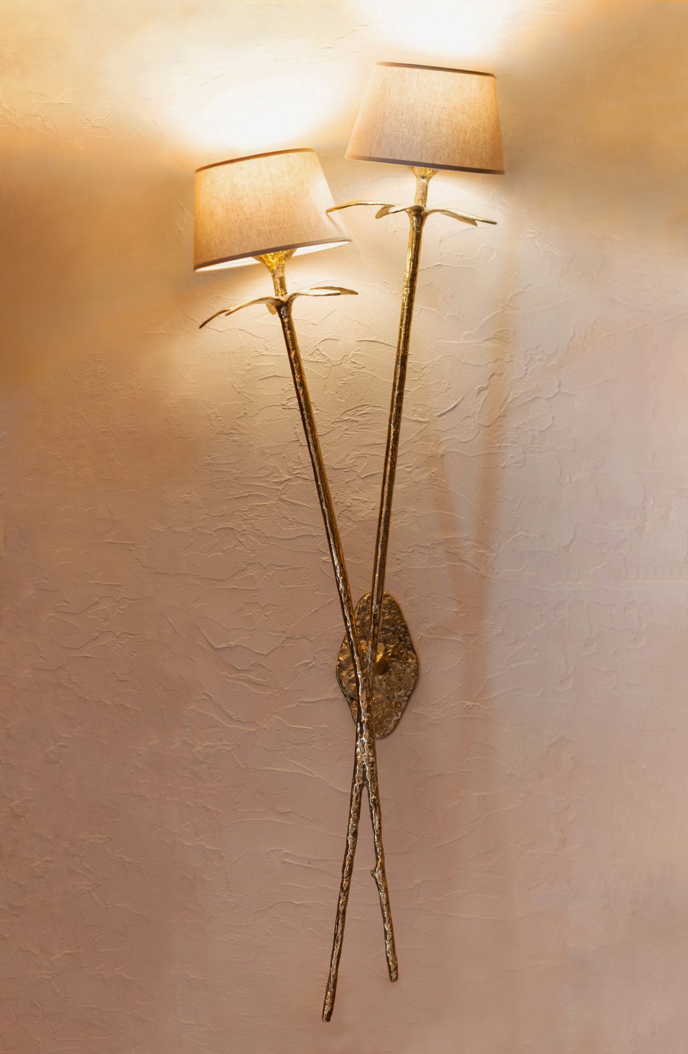 WALL LAMP ALBIZIA